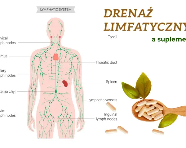 Ilustracja układu limfatycznego, pokazująca węzły chłonne i naczynia. Obok suplementy diety, które mogą pomóc jak pobudzić limfę.